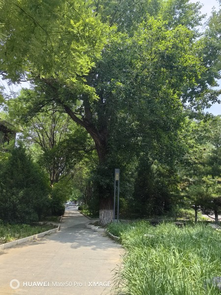 房源图片